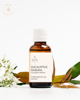 Eucalyptus Radiata EO - Islas Aromatics