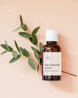 Nectarine Mint (BBW Type) FO - Islas Aromatics
