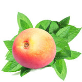 Nectarine Mint (BBW Type) FO - Islas Aromatics