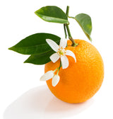 Orange Sweet EO - Islas Aromatics