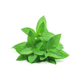 Peppermint Supreme EO - Islas Aromatics
