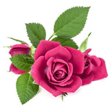 Rose FO (Phthalate Free) - Islas Aromatics