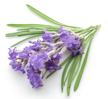 Lavender (Natural Blend) EO - Islas Aromatics