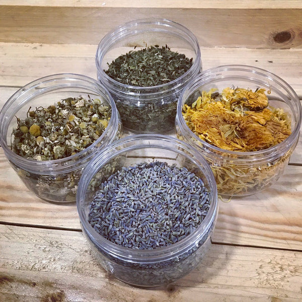Chamomile Flowers - Islas Aromatics