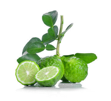 Bergamot (Bergaptene Free) Natural Blend EO