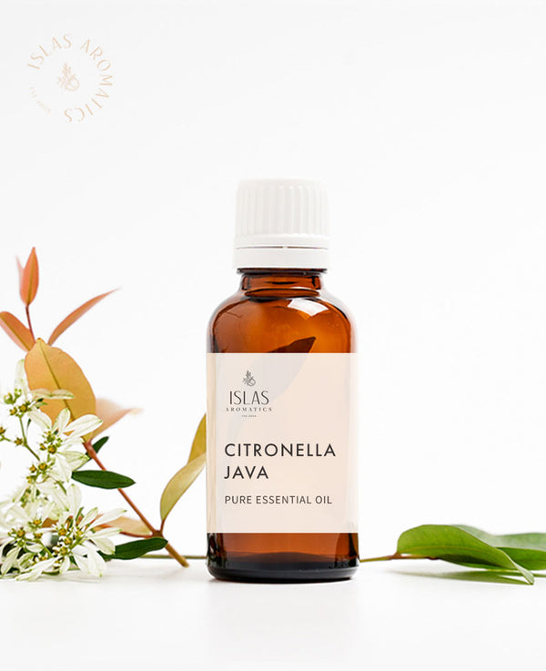 Citronella Java EO (Philippines)