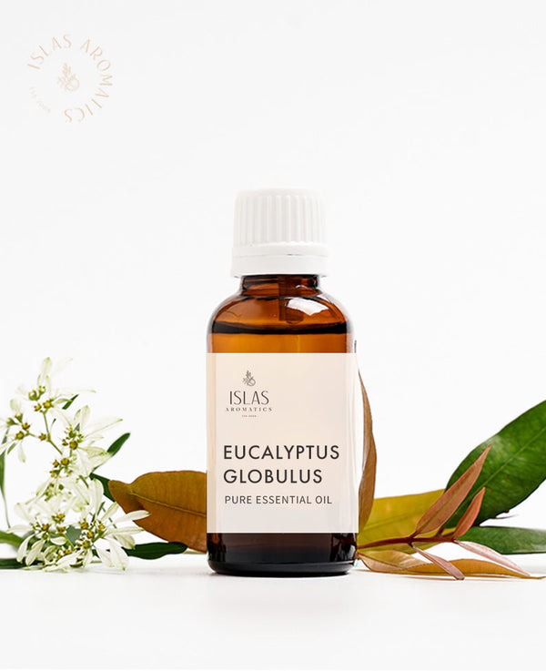 Eucalyptus Globulus 80/85 EO