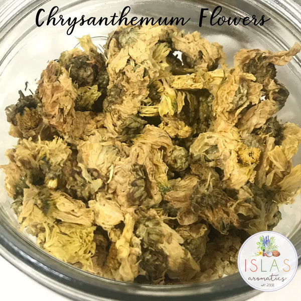 Chrysanthemum Flowers