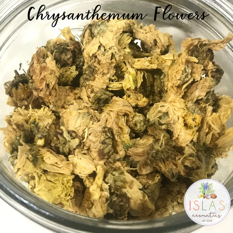 Chrysanthemum Flowers
