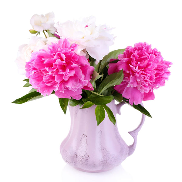 Peony & Blush Suede FO - Islas Aromatics